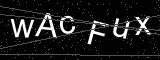 CAPTCHA verification image